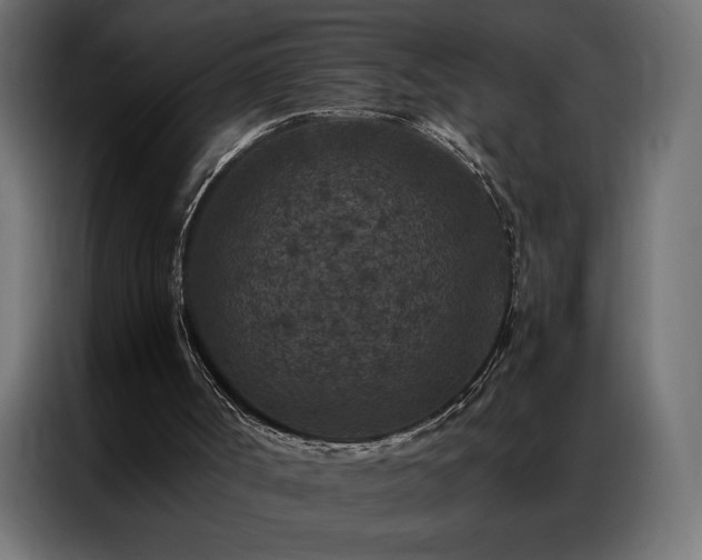 X0000086890002200704161301