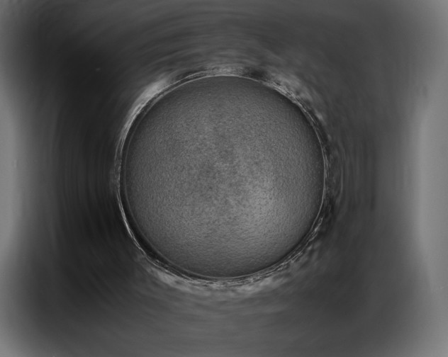 X0000086890003200704161301