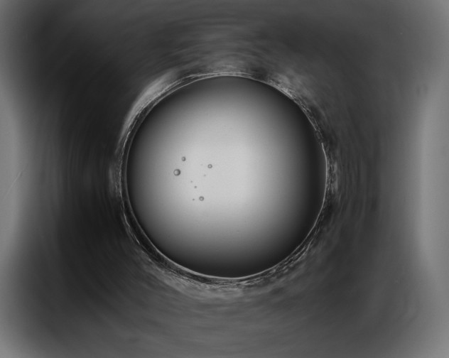 X0000086890004200704161301