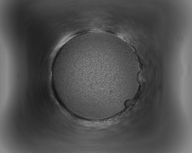 X0000086890005200704161301