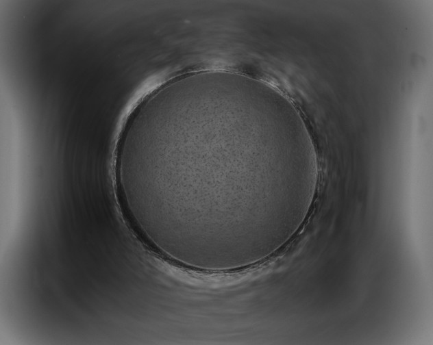 X0000086890006200704161301