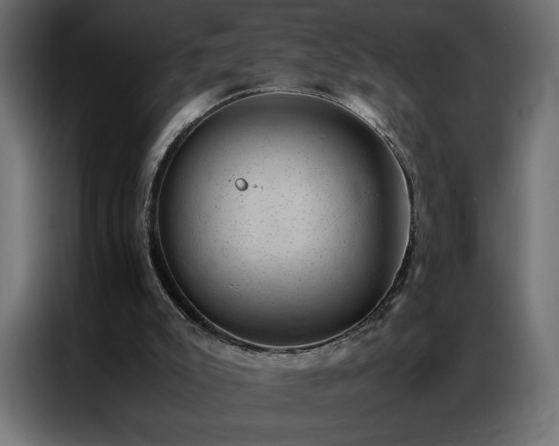 X0000086890007200704161301