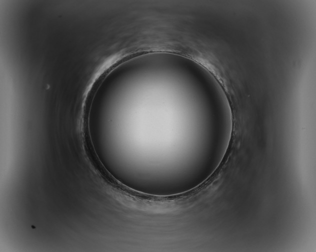 X0000086890008200704161301