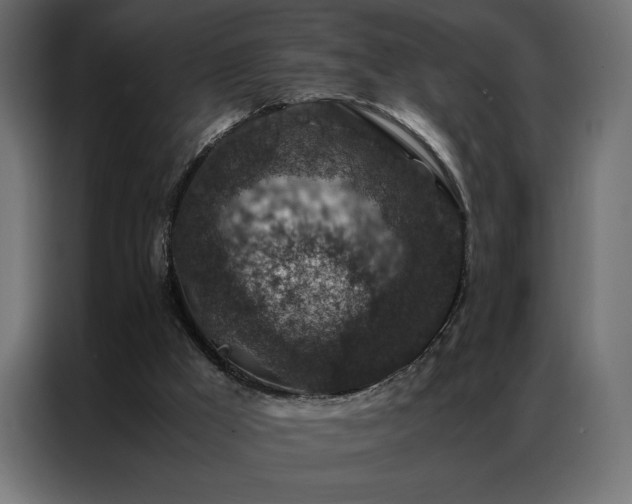 X0000086890009200704161301