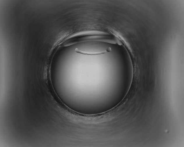 X0000086890010200704161301