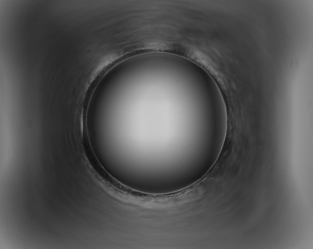 X0000086890011200704161300