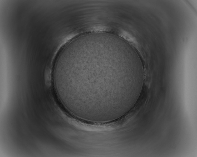 X0000086890012200704161300