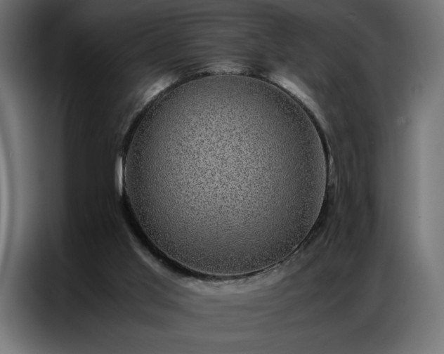 X0000086890013200704161300