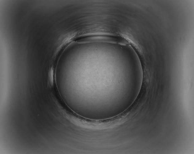 X0000086890014200704161300