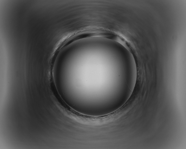 X0000086890015200704161300