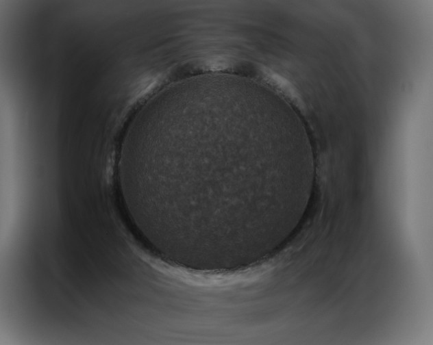 X0000086890018200704161300