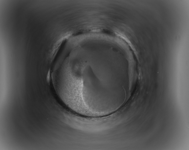 X0000086890019200704161300