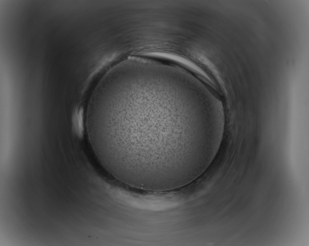 X0000086890020200704161300