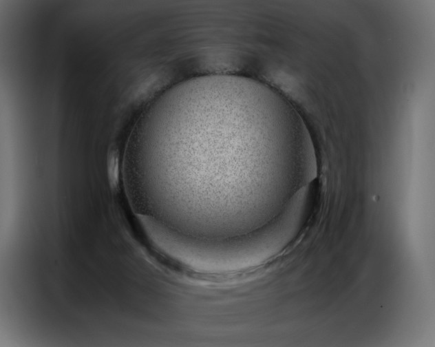 X0000086890021200704161300