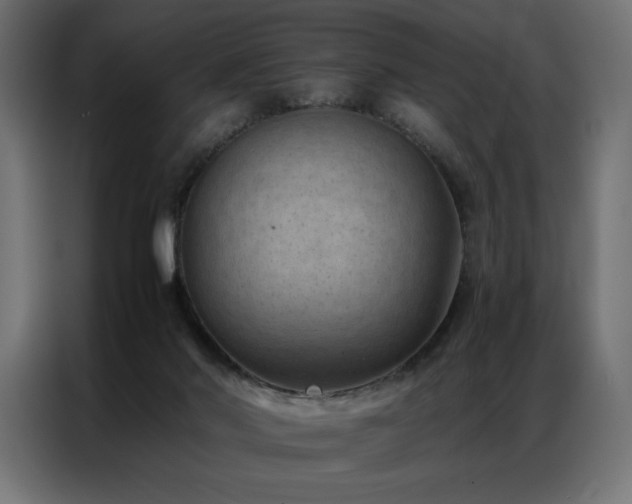 X0000086890022200704161300