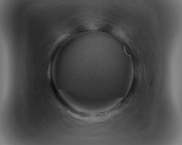 X0000086890023200704161300