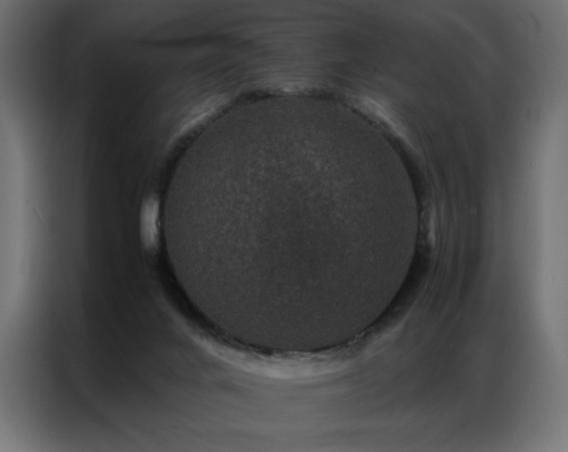 X0000086890024200704161300