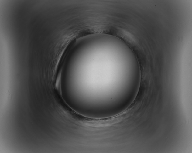 X0000086890025200704161300