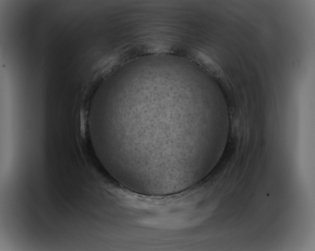 X0000086890026200704161300