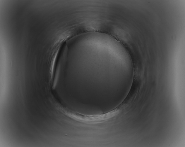 X0000086890027200704161300