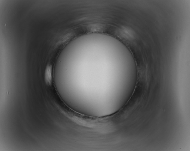 X0000086890028200704161300