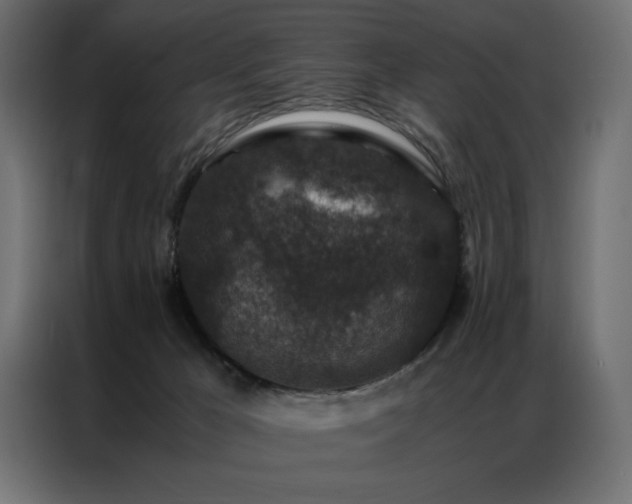 X0000086890029200704161300