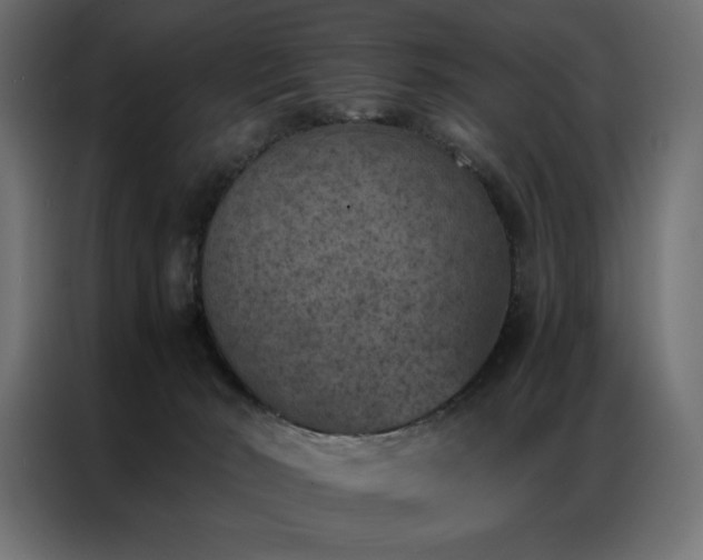 X0000086890030200704161300