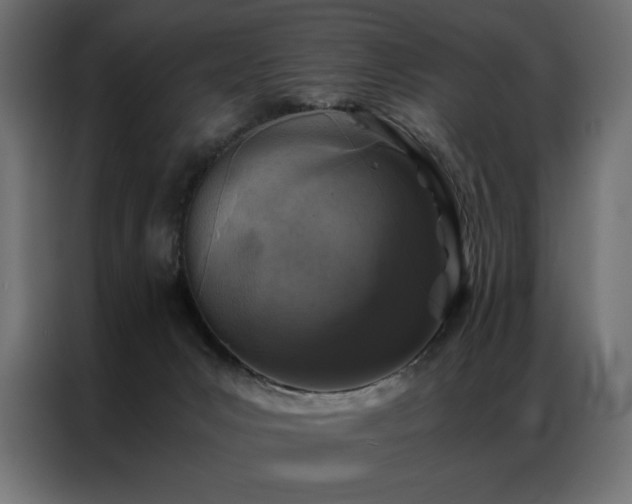 X0000086890031200704161300