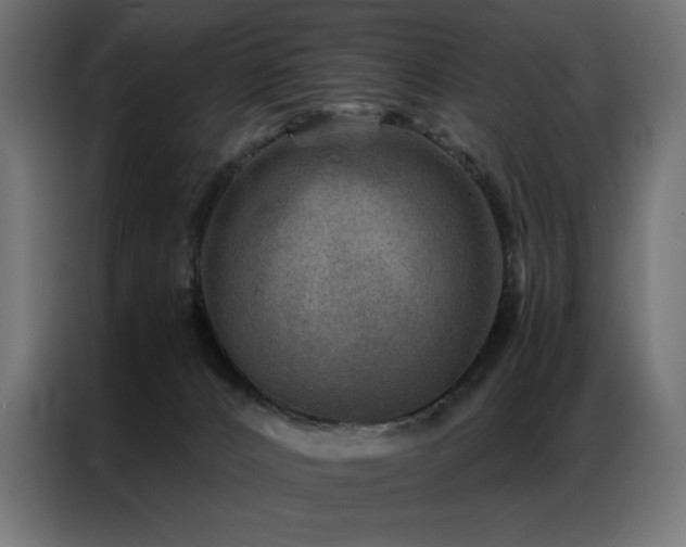 X0000086890032200704161300