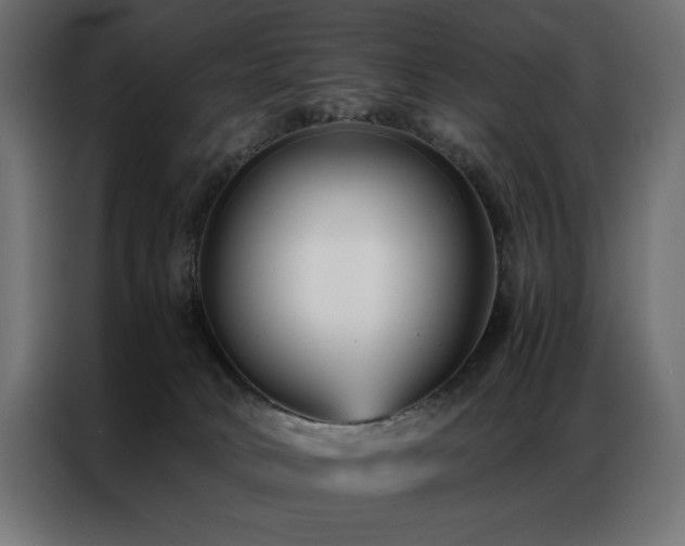 X0000086890034200704161300