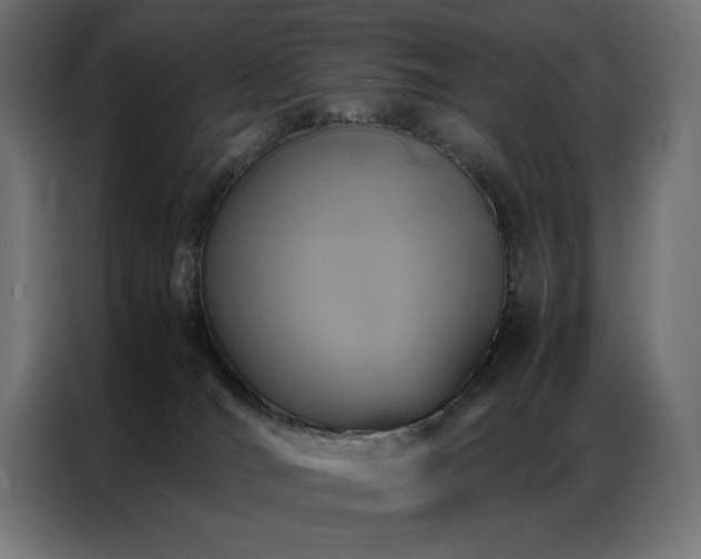 X0000086890036200704161300