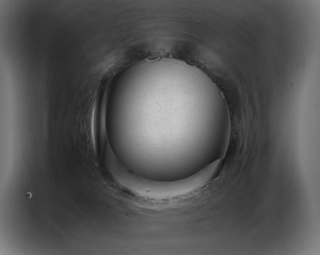 X0000086890037200704161300