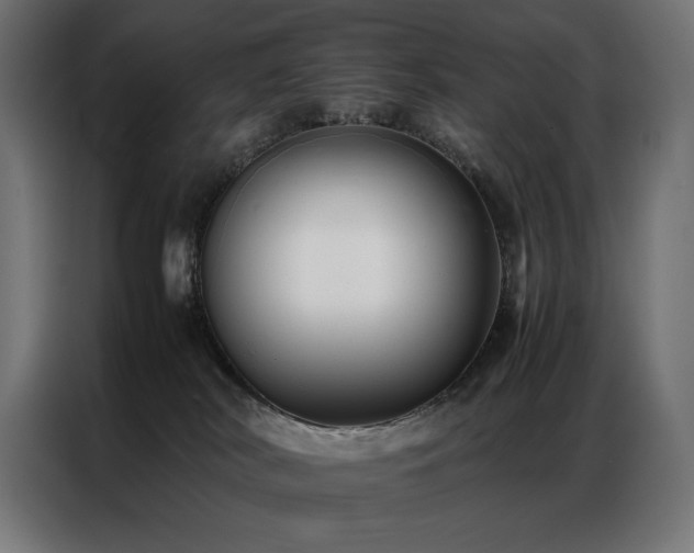 X0000086890038200704161300