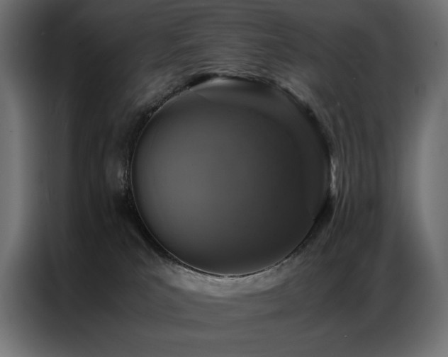 X0000086890039200704161300