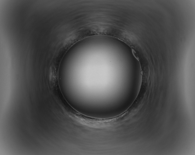 X0000086890040200704161300