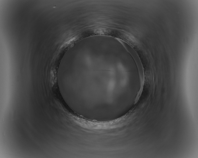 X0000086890043200704161300