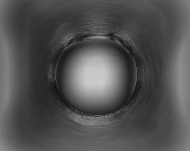 X0000086890044200704161300