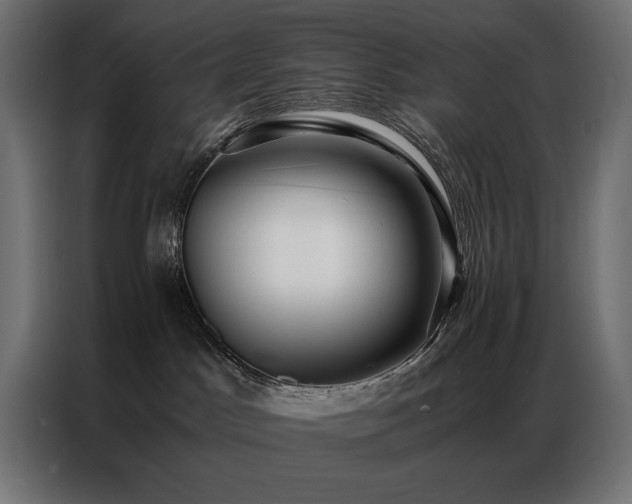 X0000086890045200704161300