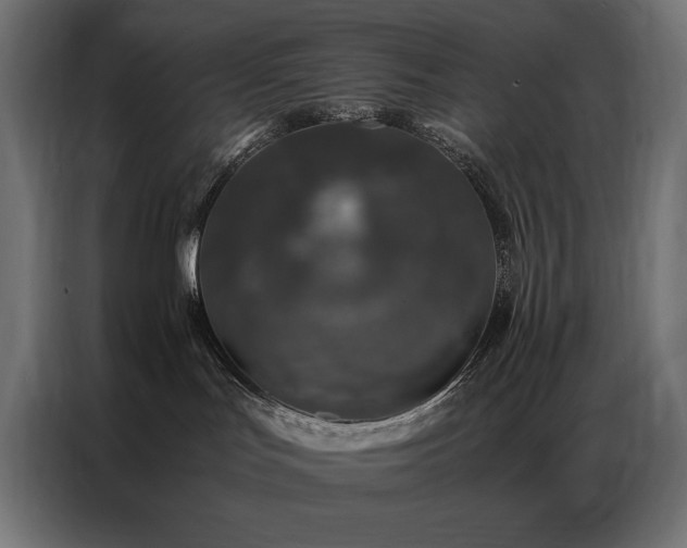 X0000086890047200704161300