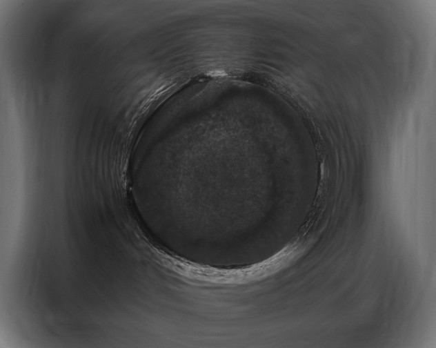 X0000086890048200704161300