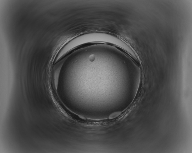 X0000086890049200704161259