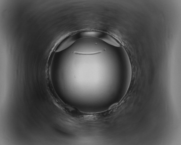 X0000086890050200704161259