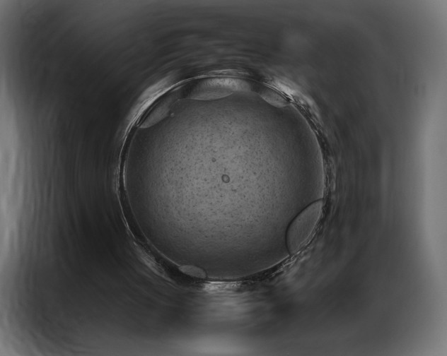 X0000086890051200704161259