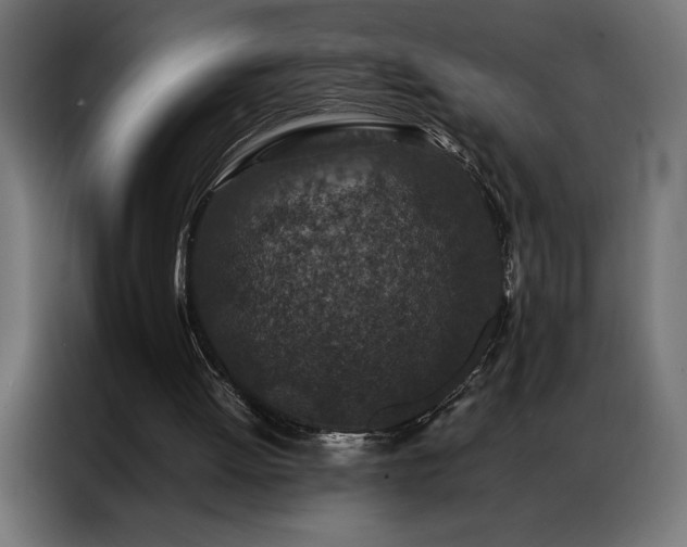 X0000086890052200704161259