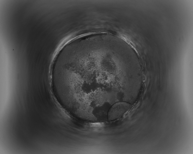 X0000086890053200704161259