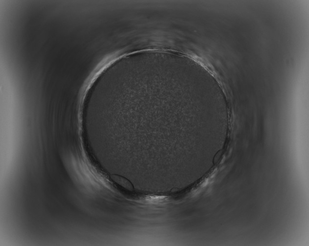 X0000086890055200704161259