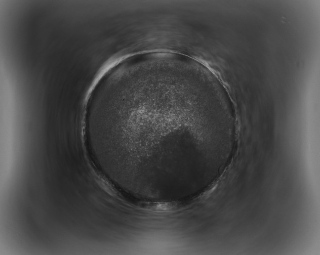 X0000086890056200704161259