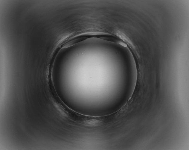 X0000086890058200704161259