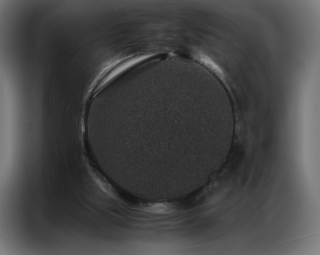 X0000086890059200704161259