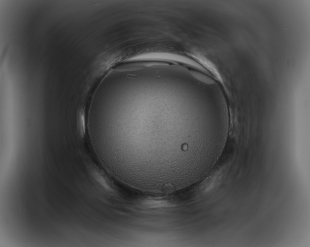 X0000086890061200704161259